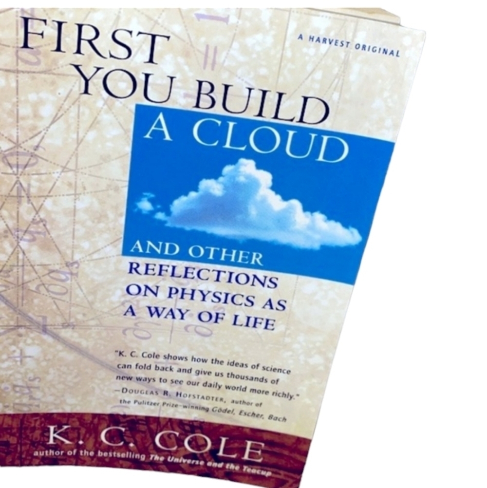 First You Build a Cloud science book